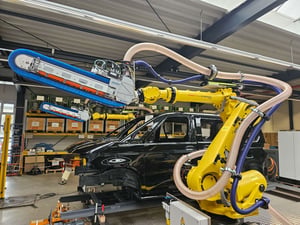Schwertbürsten Reinigung